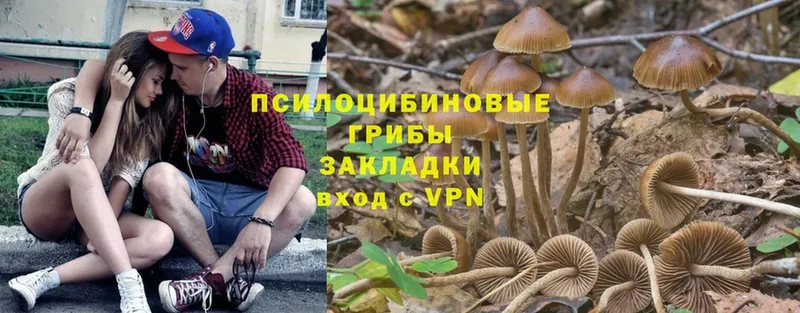 Псилоцибиновые грибы Cubensis  hydra зеркало  Лангепас 